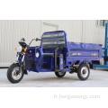 Tricycle de cargaison électrique Nouveau design à vendre